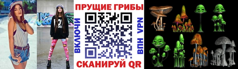 Псилоцибиновые грибы GOLDEN TEACHER  Пыталово 
