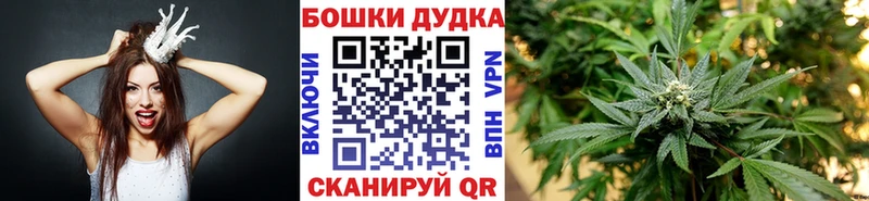 купить  цена  Пыталово  Бошки Шишки LSD WEED 